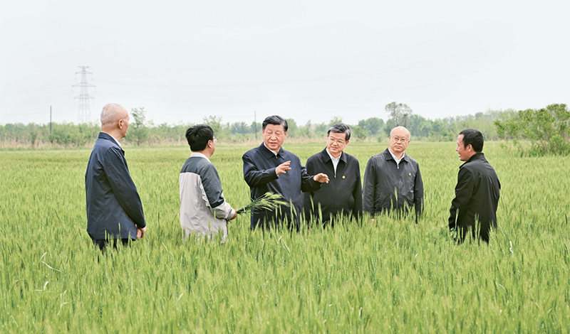 2023年5月11日至12日,中共中央总书记、国家主席、中央军委主席习近平在河北考察,并主持召开深入推进京津冀协同发展座谈会。这是11日上午,习近平在沧州市黄骅市旧城镇仙庄片区旱碱地麦田考察时,同种植户、农技专家亲切交流。 新华社记者 李学仁/摄