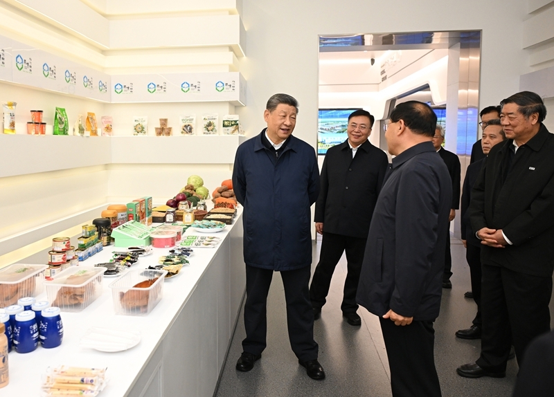 习近平在内蒙古乌兰察布考察时强调统筹高质量发展和高水平保护坚定不移走生态优先绿色发展之路「相关图片」