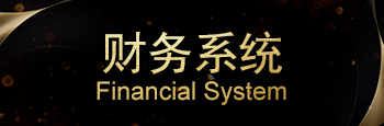 财务系统