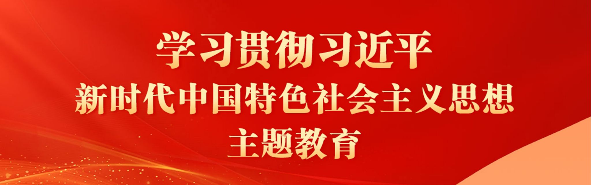 学习贯彻习近平新时代中国特色社会注意思想主题教育专题网站